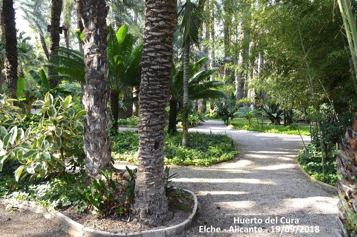 19 ELCHE HUERTO DEL CURA (48).JPG